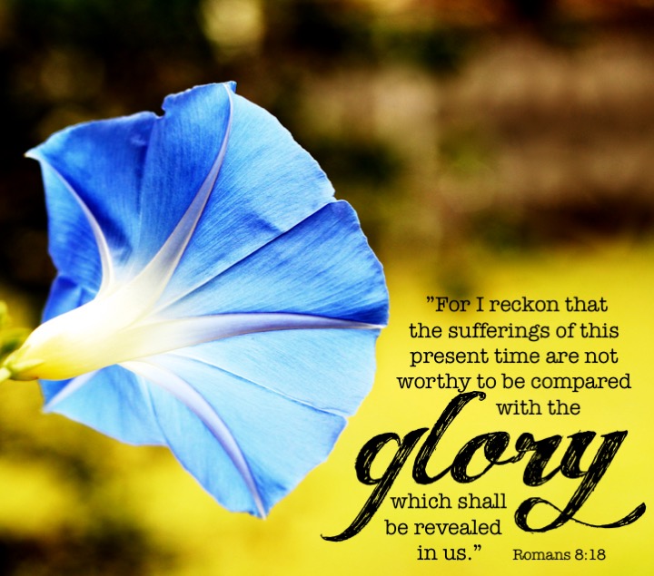 Romans 8 18 English.jpg