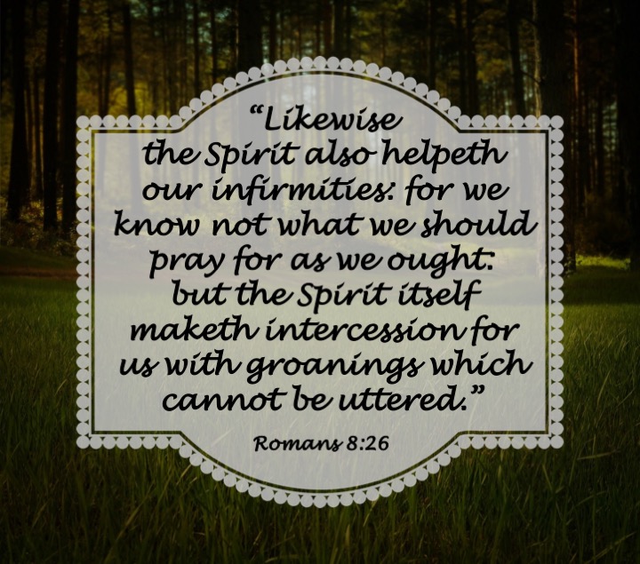 Romans 8 26 English