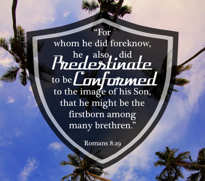 Romans 8 29 English.jpg