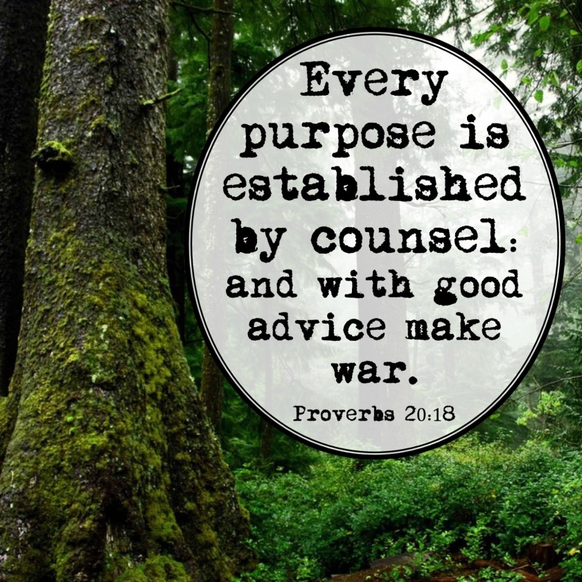 Proverbs 20 18 English