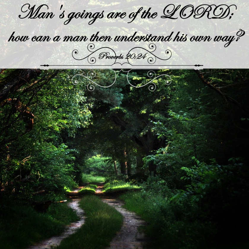 Proverbs 20 24 English