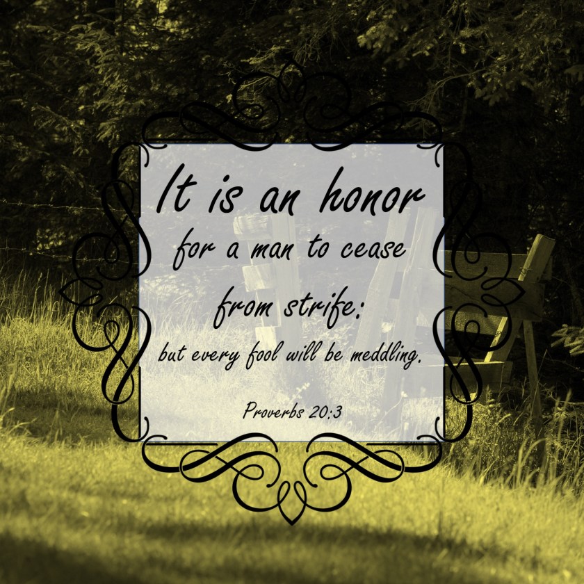 Proverbs 20 3 English.jpg