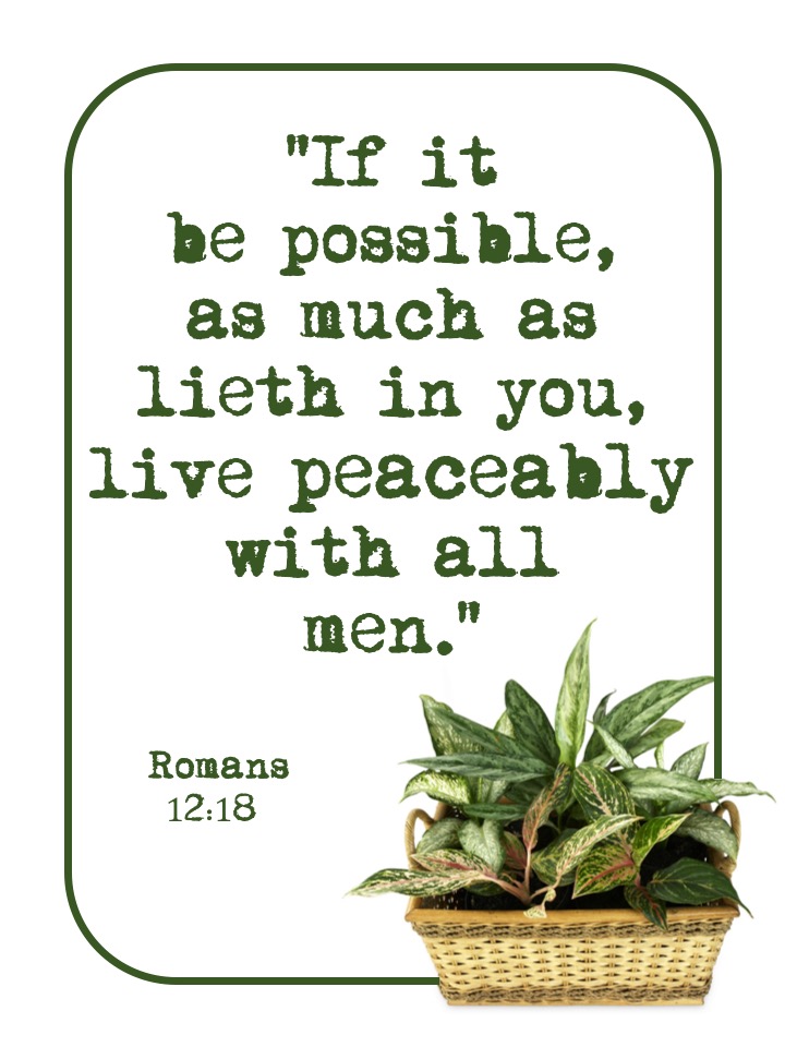 Romans 12 18 English.jpg