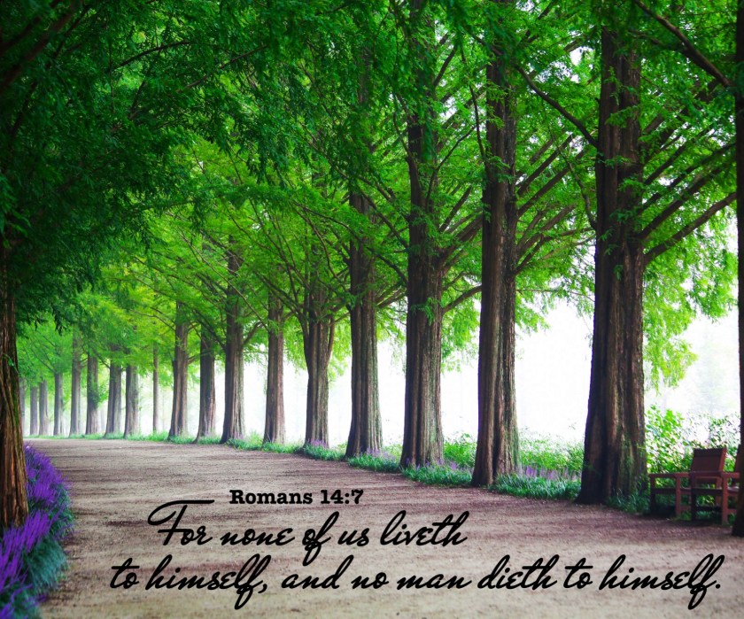 Romans 14 7 English