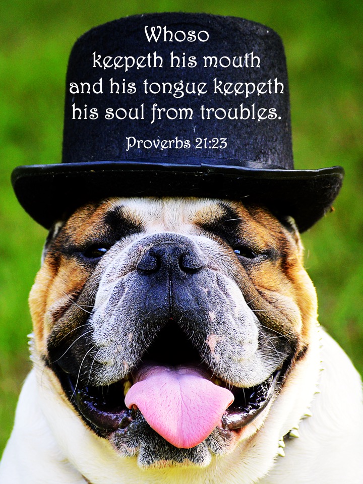 Proverbs 21 23 English.jpg