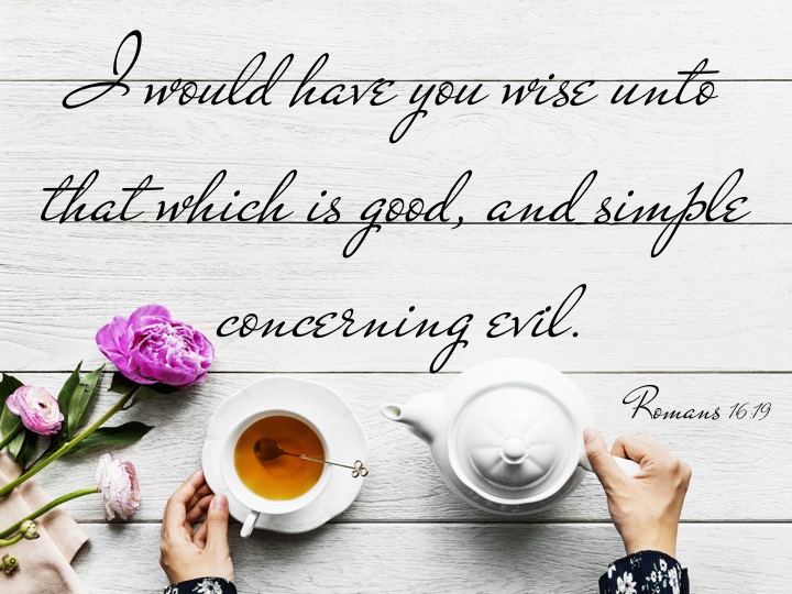 Romans 16 19 English