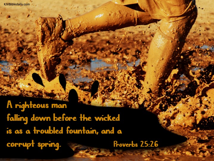 Proverbs 25 26 KJV.jpg