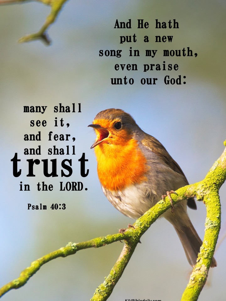 Psalm 40 3 KJV