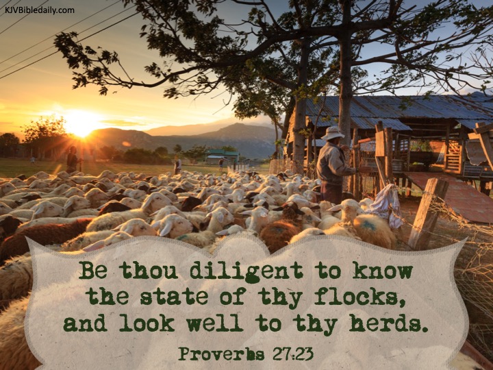 Proverbs 27 23 KJV.jpg