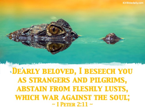 I Peter 2-11 KJV.jpg