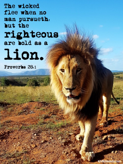 Proverbs 28-1 KJV.jpg