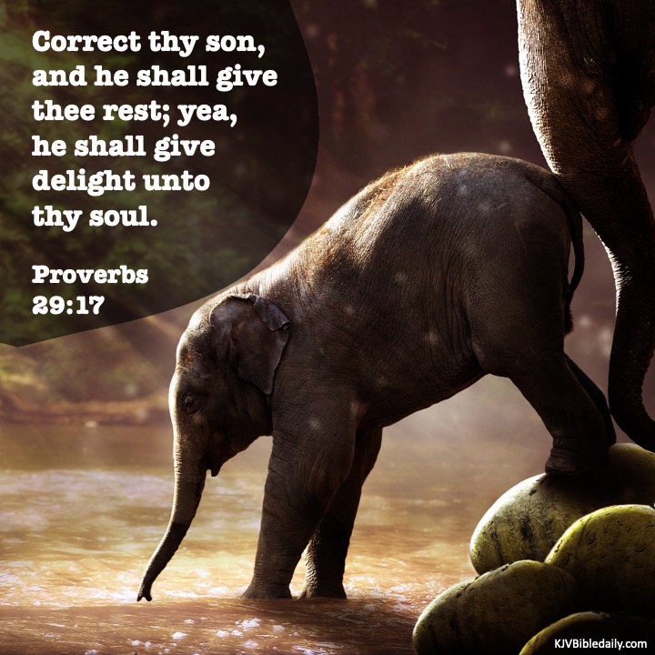 proverbs 29-17 kjv