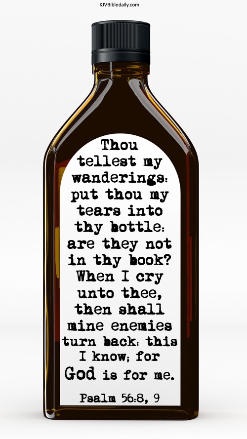 psalm 56 8, 9 kjv