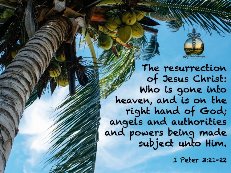 I Peter 3 22, 22 KJV