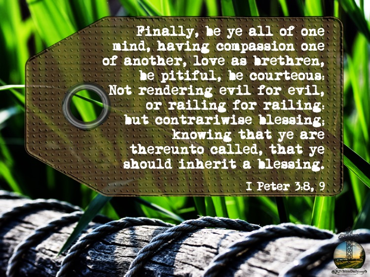 I Peter 3 8, 9 KJV