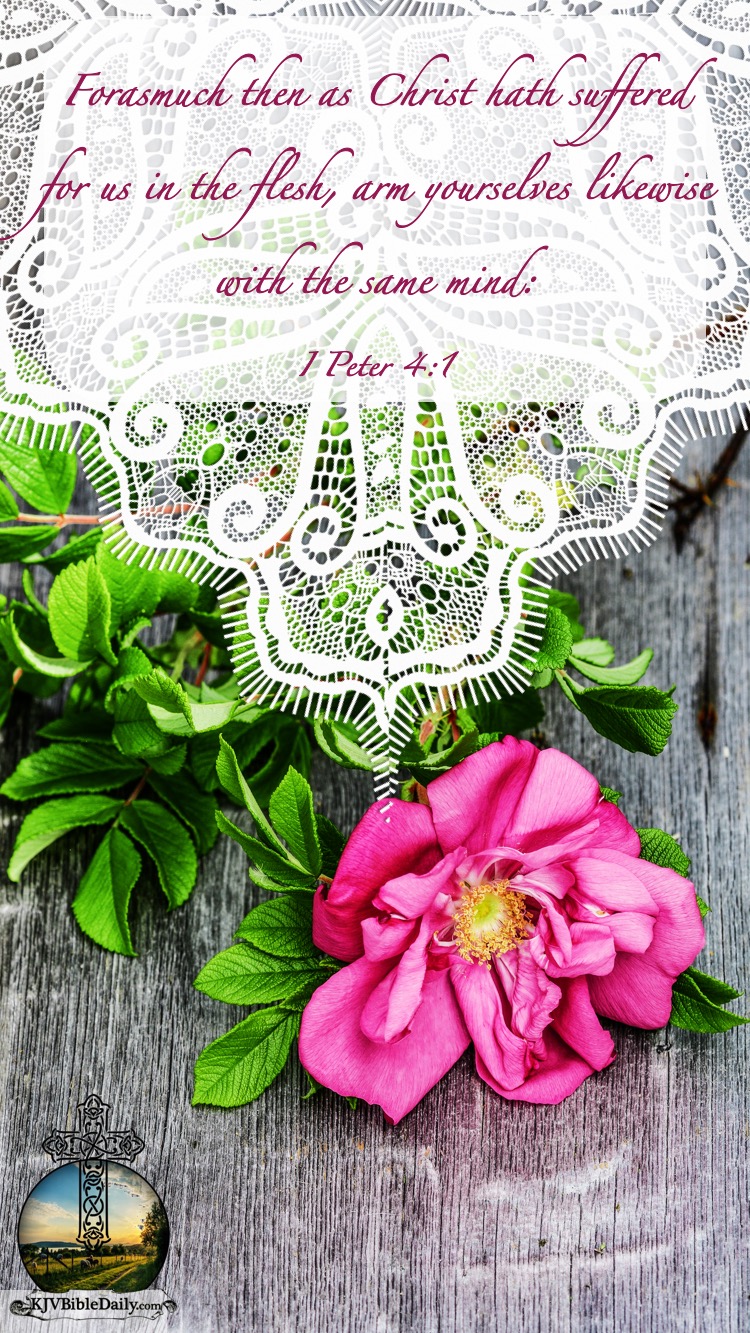 I Peter 4 1 KJV.jpg