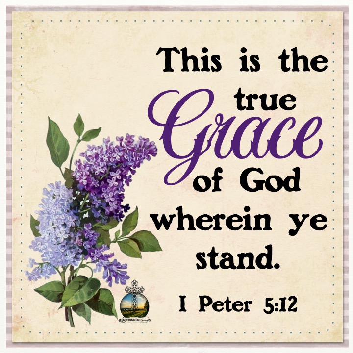 I Peter 5 12 KJV.jpg