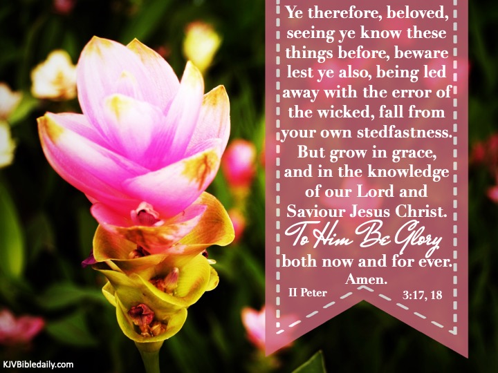 2 Peter 3-17, 18 KJV