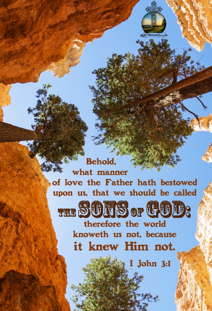 I John 3-1 KJV.jpg