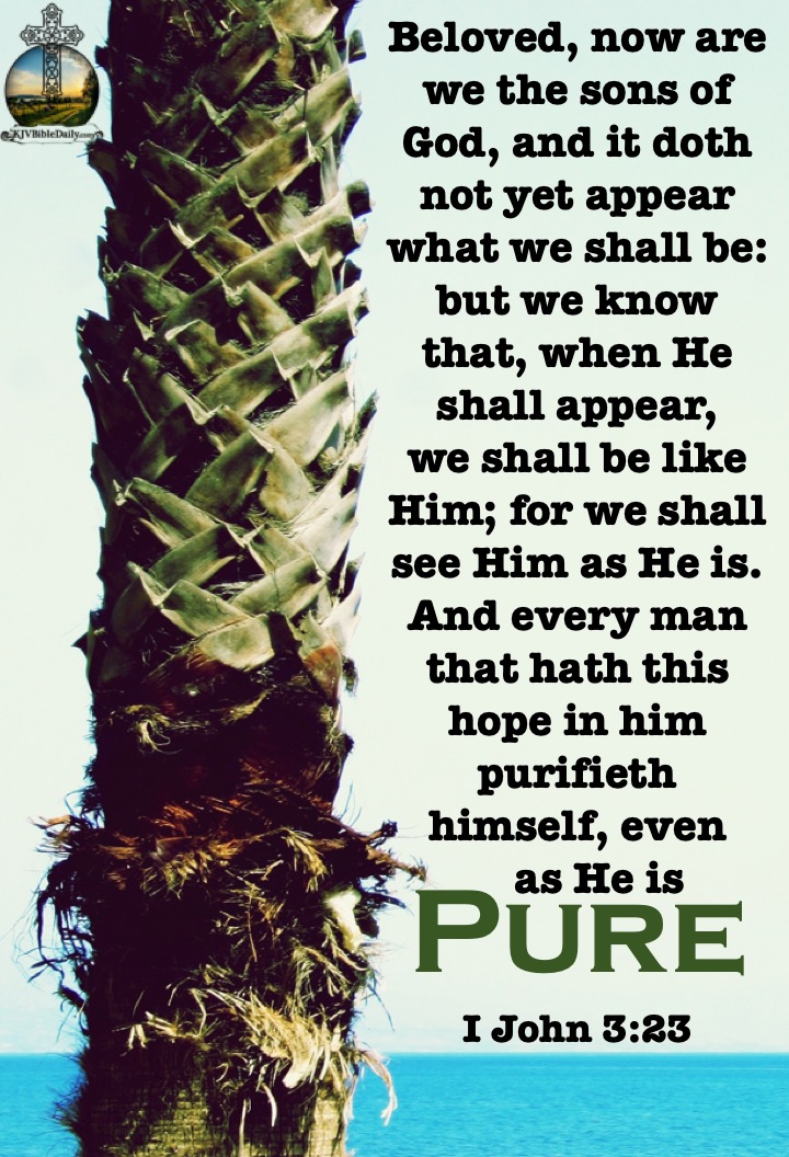 I John 3-2,3 KJV.jpg