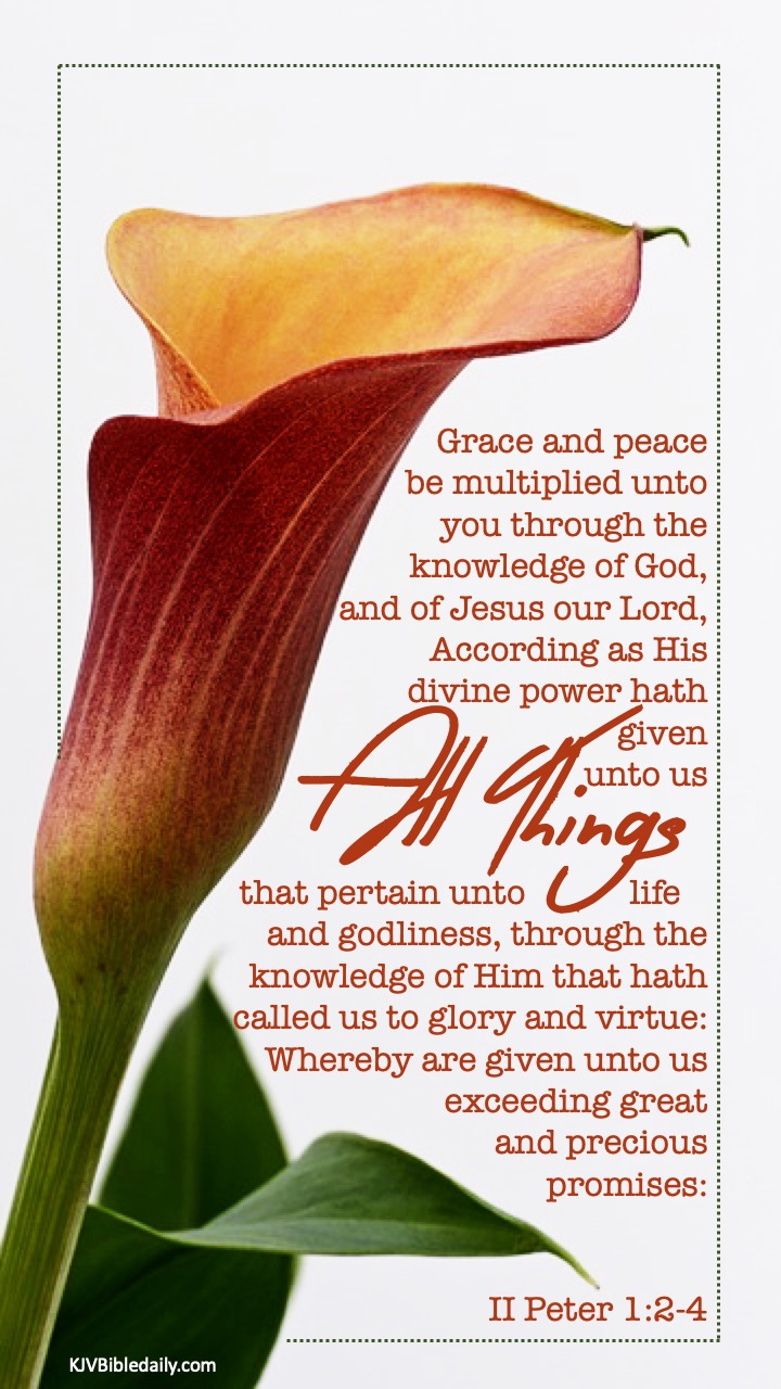 II Peter 1 2-4 KJV.jpg