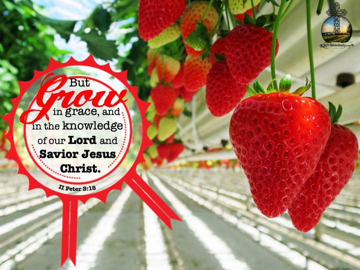 II Peter 3-18 KJV.jpg