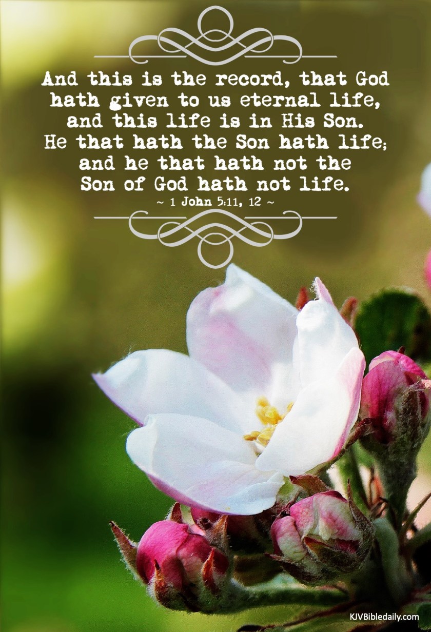 I John 5-11, 12 KJV.jpg
