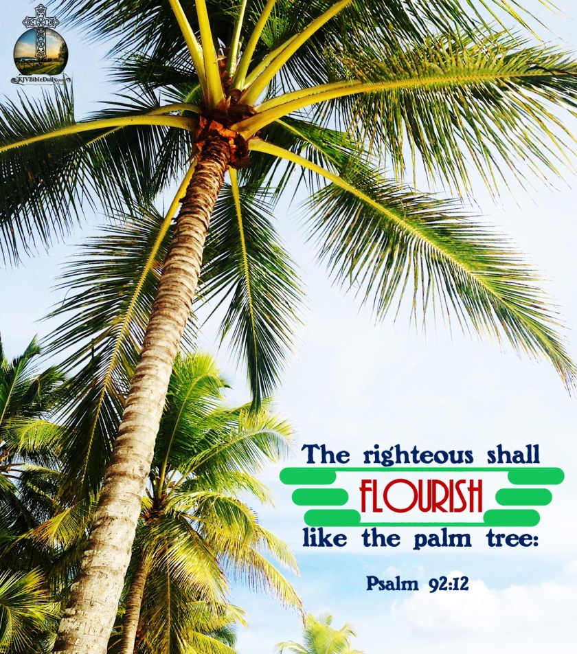 Psalms 92-12 KJV