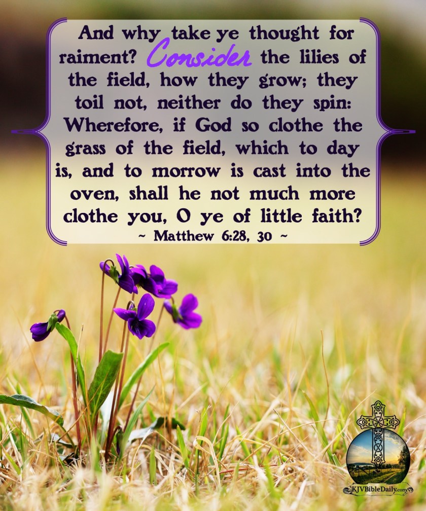 Matthew 6 18-20 KJV.jpg