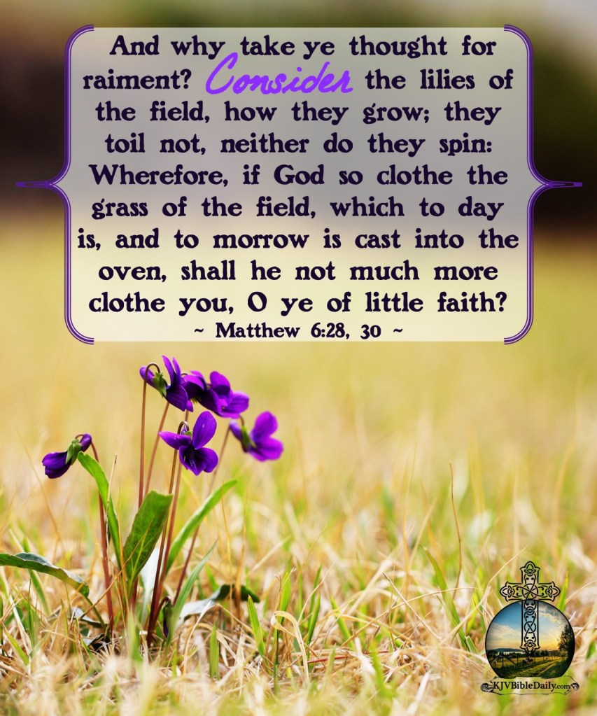 Matthew 6 18-20 KJV – KJV Bible Verses