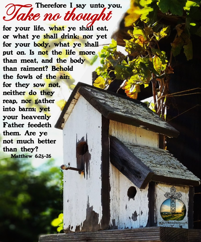 Matthew 6-25-26 KJV.jpg