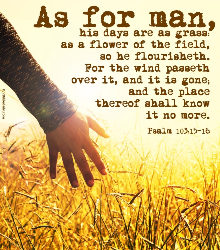 Psalms 103-15-16 KJV.jpg
