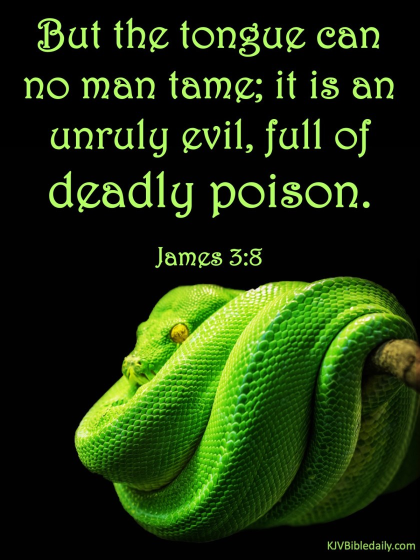 James 3 8 KJV
