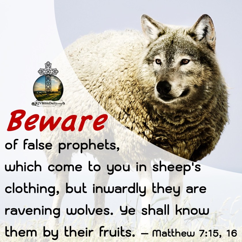 Matthew 7 15, 16 KJV