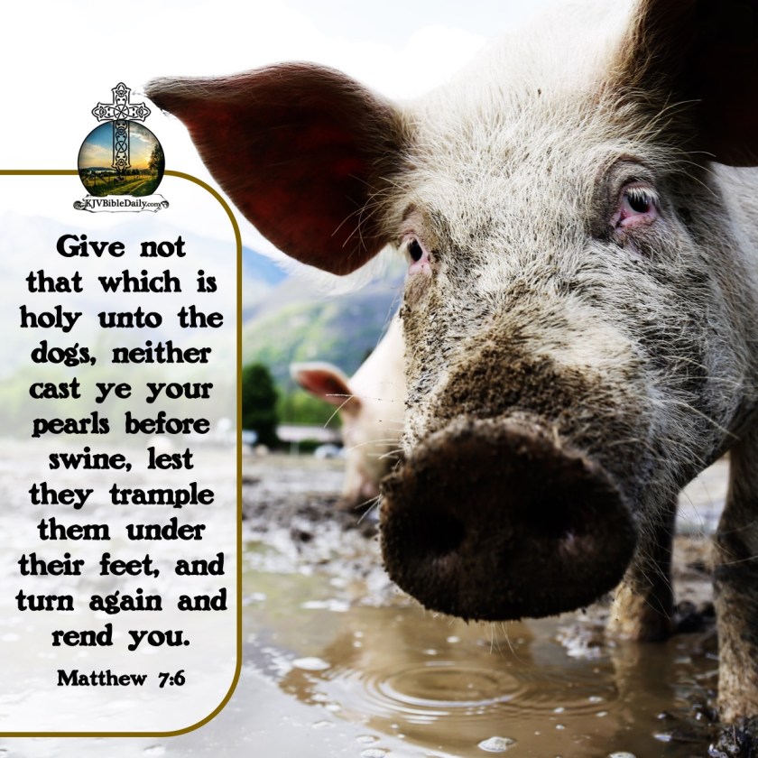 Matthew 7 6 KJV.jpg