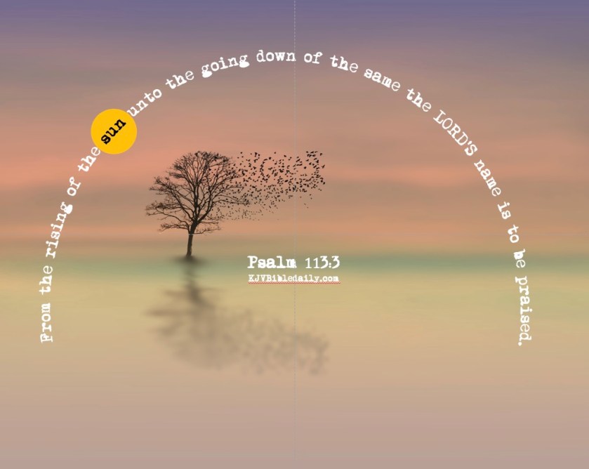 Screen Shot 2019-06-13 at 11.57.50 AM.jpg