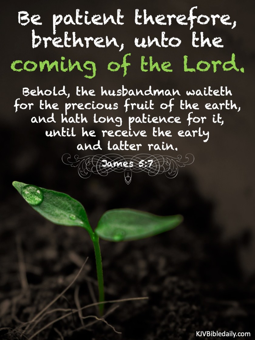 James 5 7 KJV.jpg