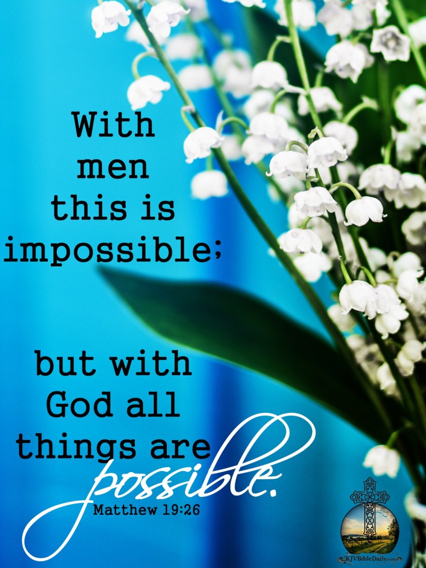 Matthew 19 26 KJV