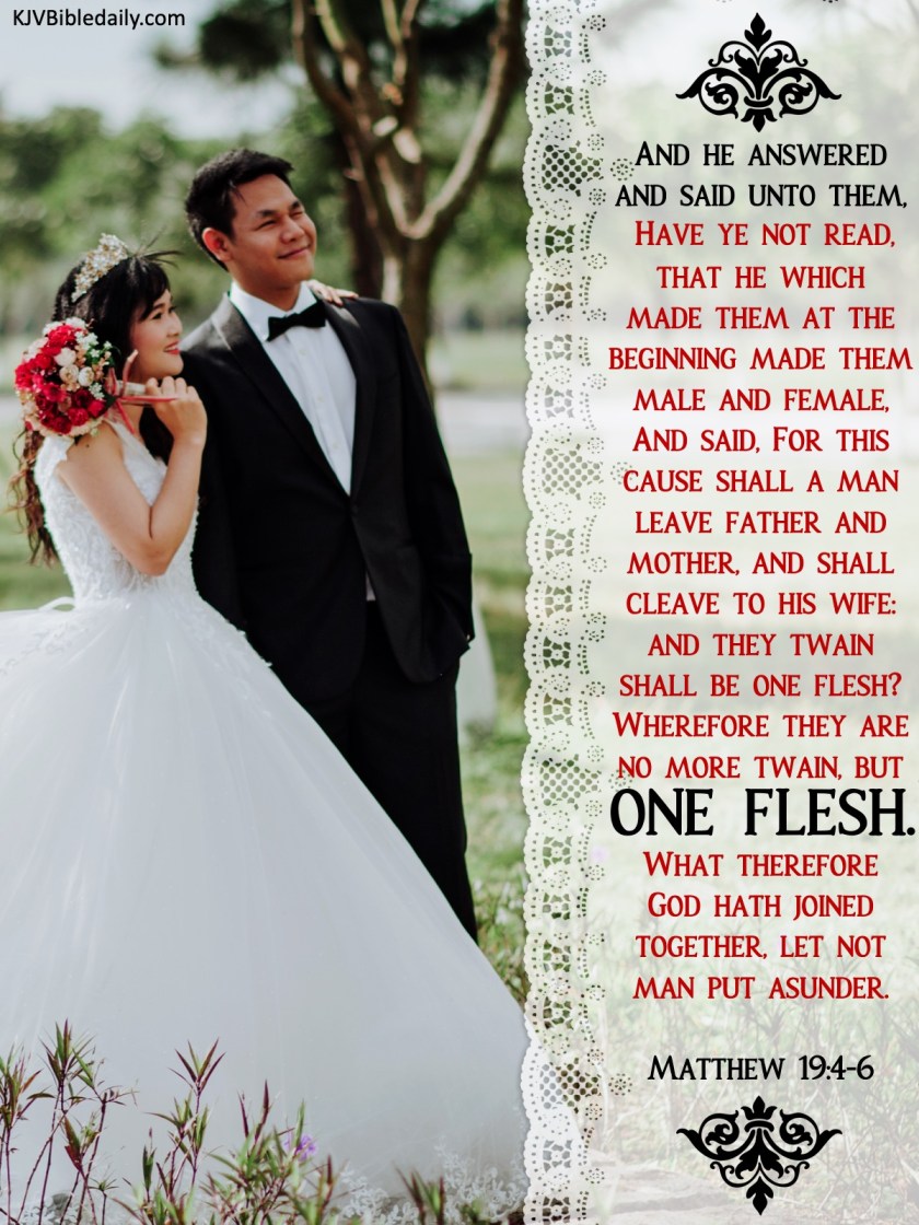 Matthew 19 4-6 KJV.jpg