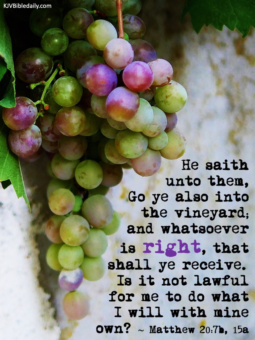 Matthew 20 7, 15 KJV