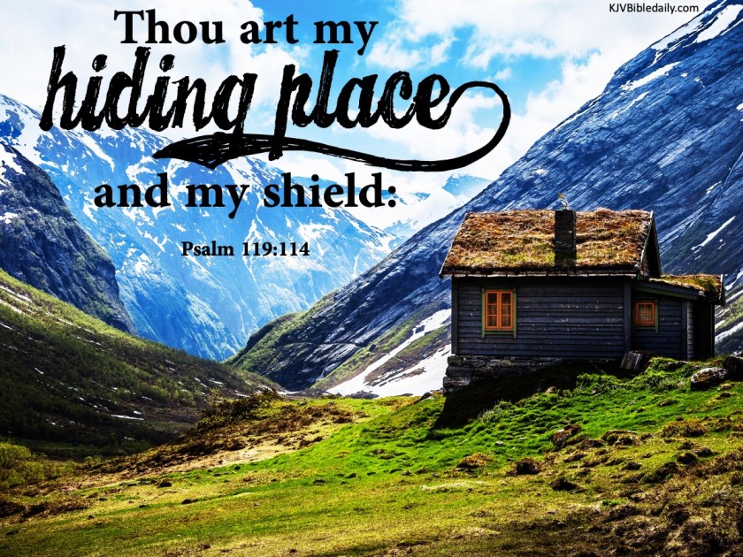 Psalm 119 114 KJV.jpg