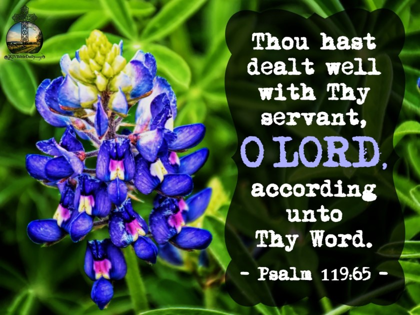 Psalm 119. 65 KJV