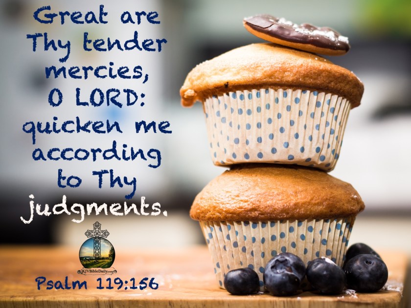 Psalm 119 156 KJV