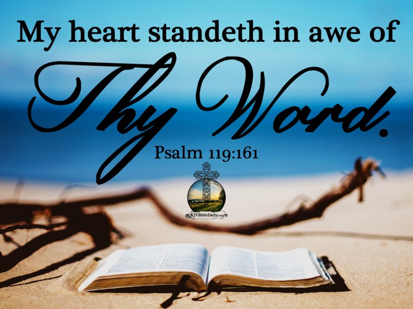 Psalm 119 161 KJV.jpg
