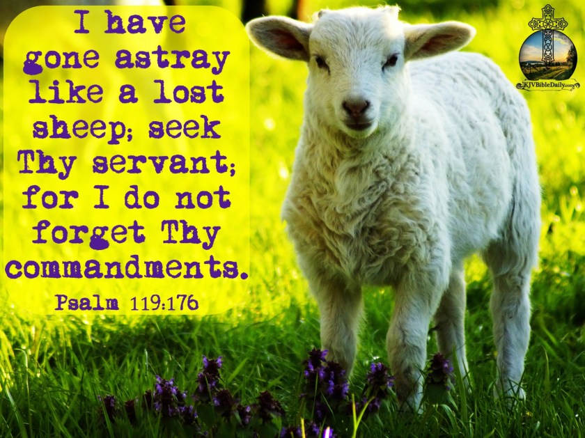 Psalm 119 176 KJV.jpg