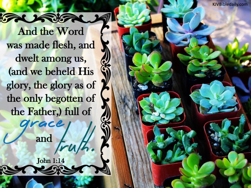 John 1 14 KJV.jpg