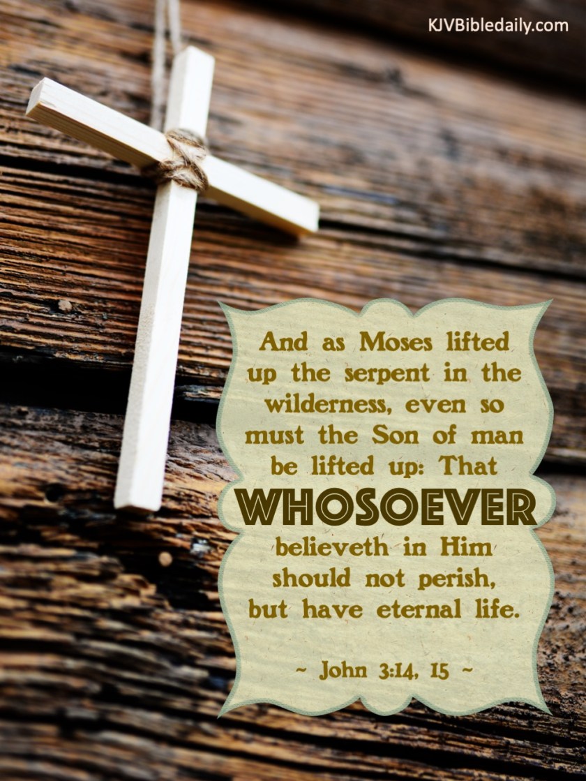 John 3-14, 15 KJV.jpg