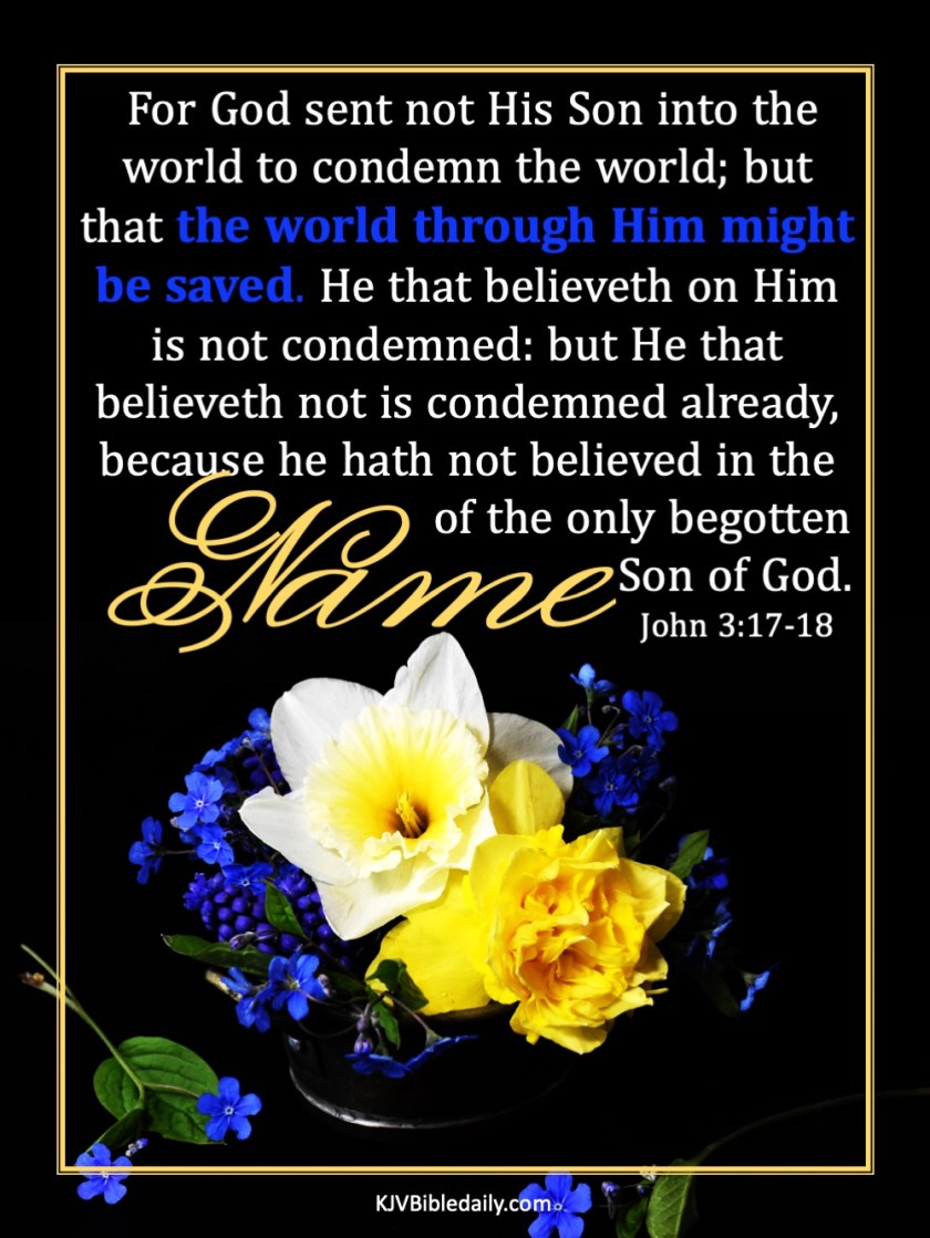 John 3-17, 18 KJV.jpg