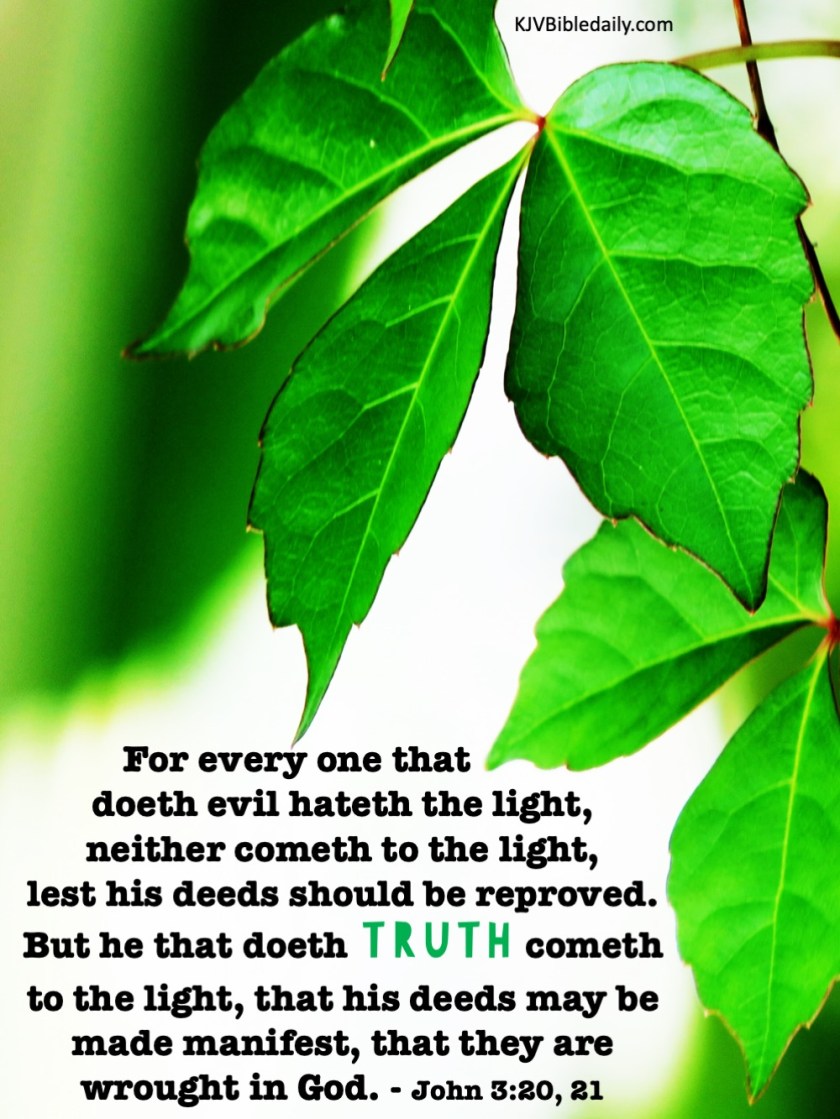 John 3-20, 21 KJV.jpg