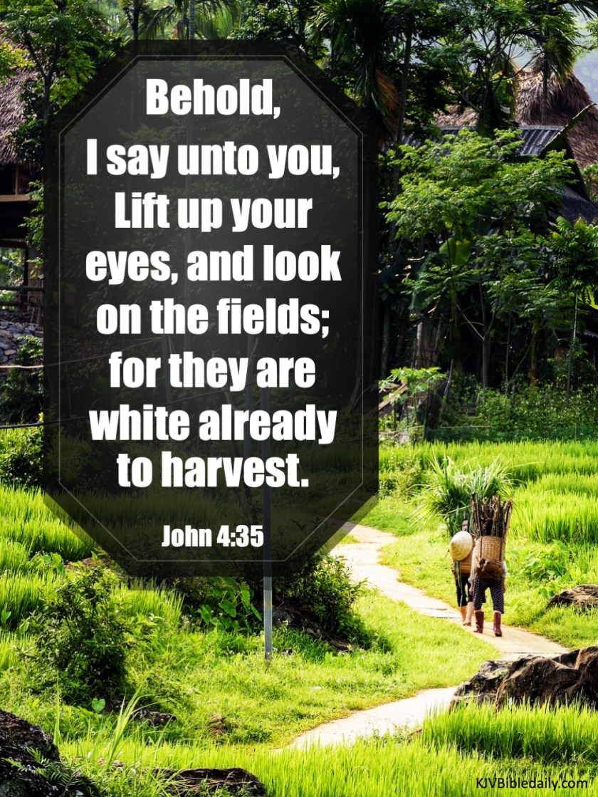 John 4 35 KJV.jpg
